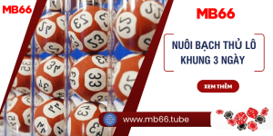 Kinh nghiệm nuôi bạch thủ lô khung 3 ngày chính xác