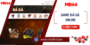 Game đá gà online: Ăn tiền, trải nghiệm cảm xúc khó quên