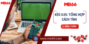 Kèo 0.05: Tổng hợp cách tính và kinh nghiệm đặt kèo